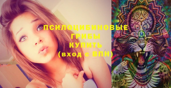 стаф Белоозёрский
