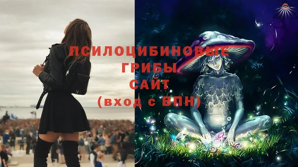 скорость mdpv Белокуриха